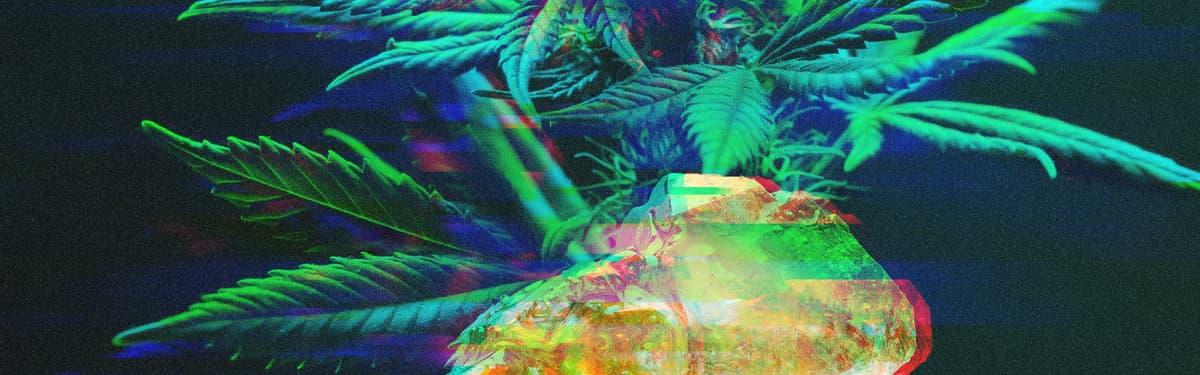 Tutti banner
