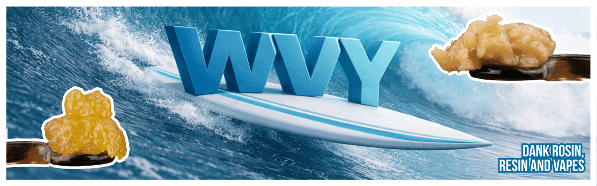 WVY banner