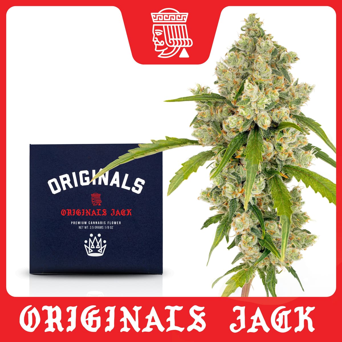 Originals Jack Herer - 3.5 Grams Flowers cannabis