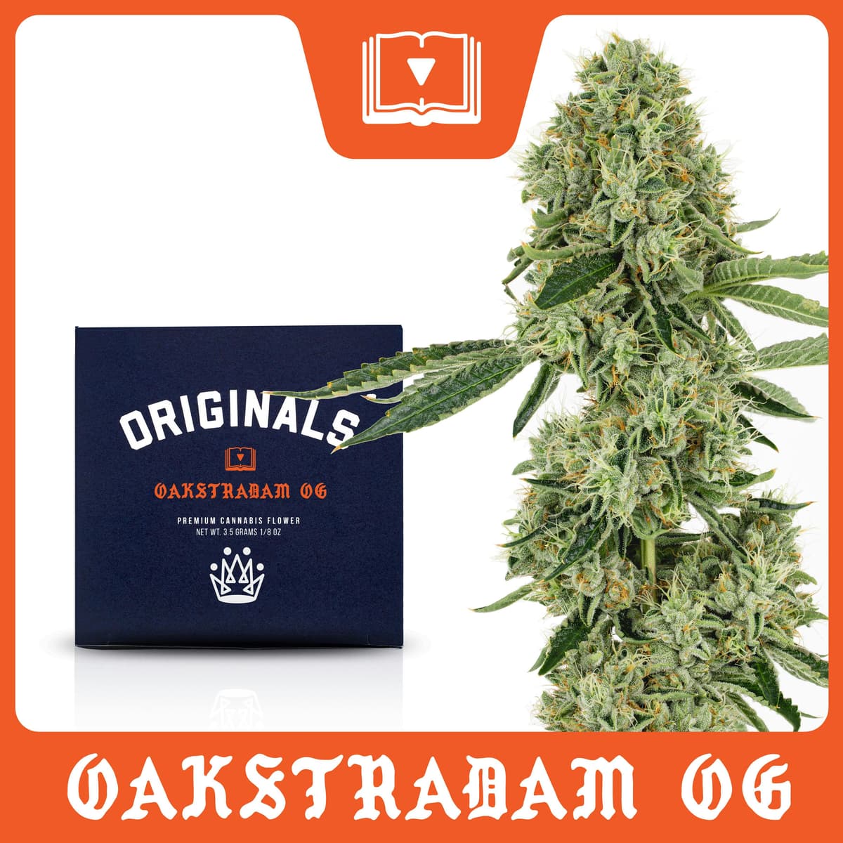 Originals Oakstradam OG - 3.5 Grams Flower cannabis