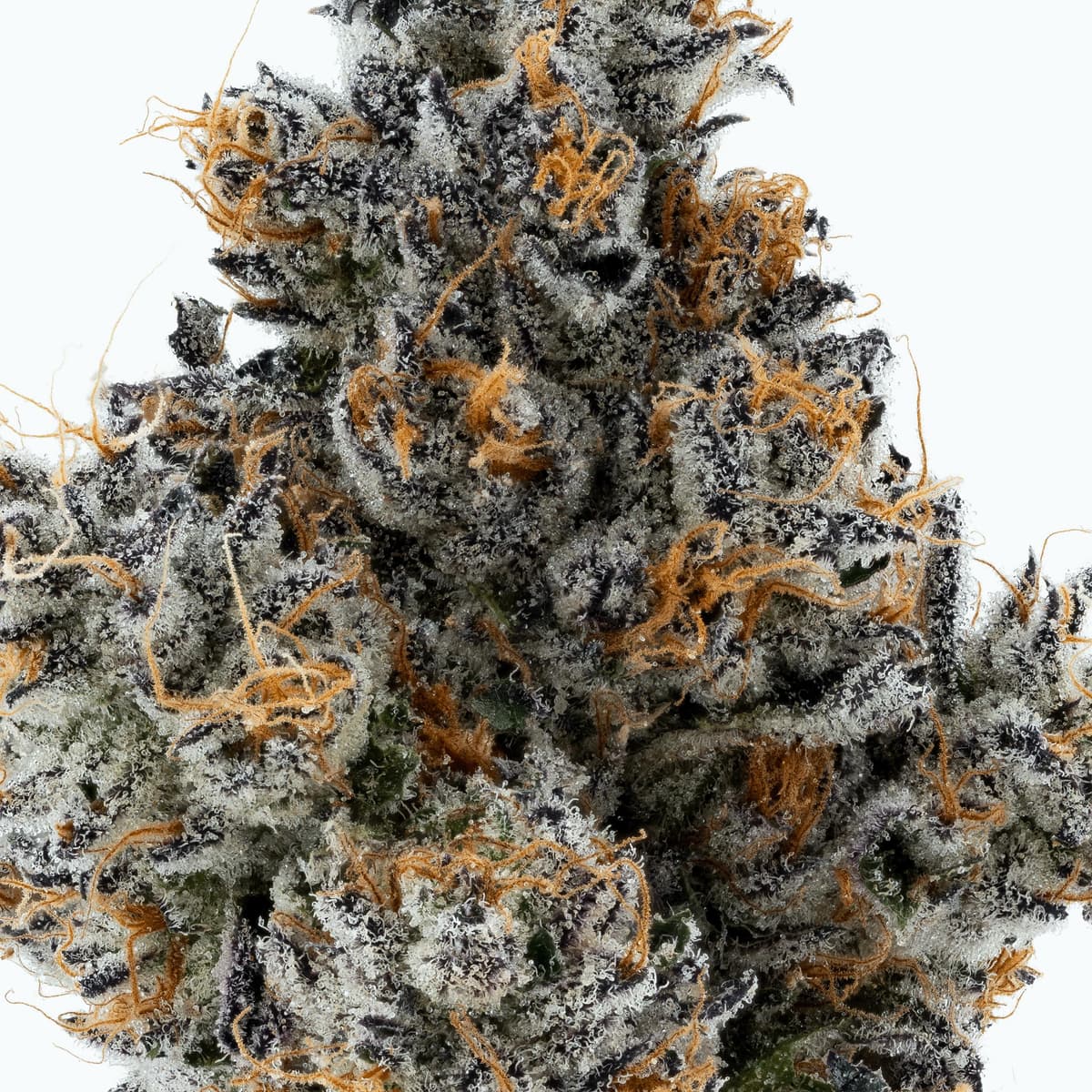 Lumpy's PB n Jane - 3.5 Grams Flowers cannabis