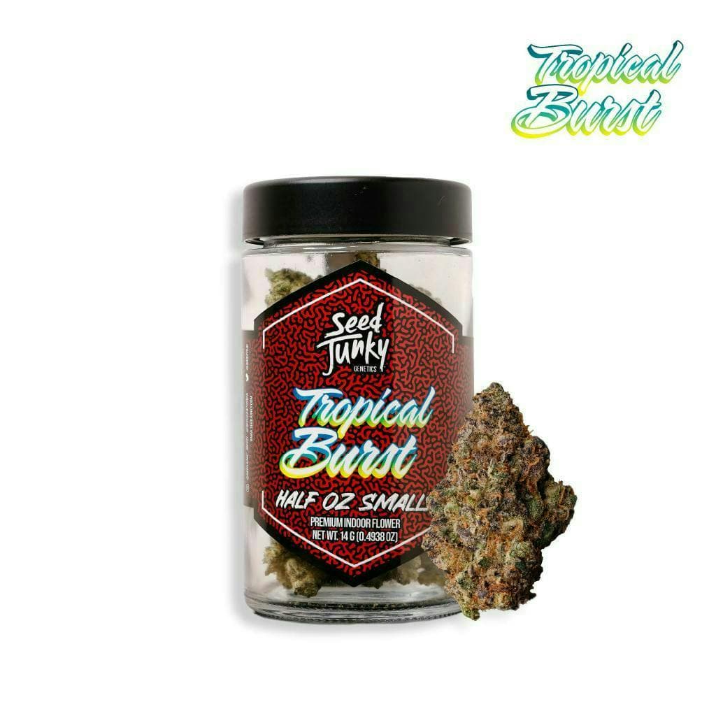 Tropical Burst | Smalls Flower by Seed Junky, $91.00