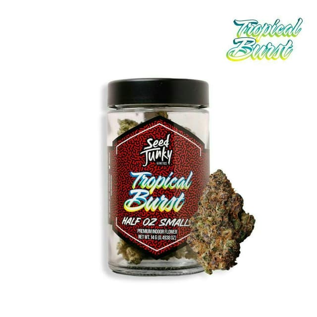 Tropical Burst | Smalls by Seed Junky, $91.00