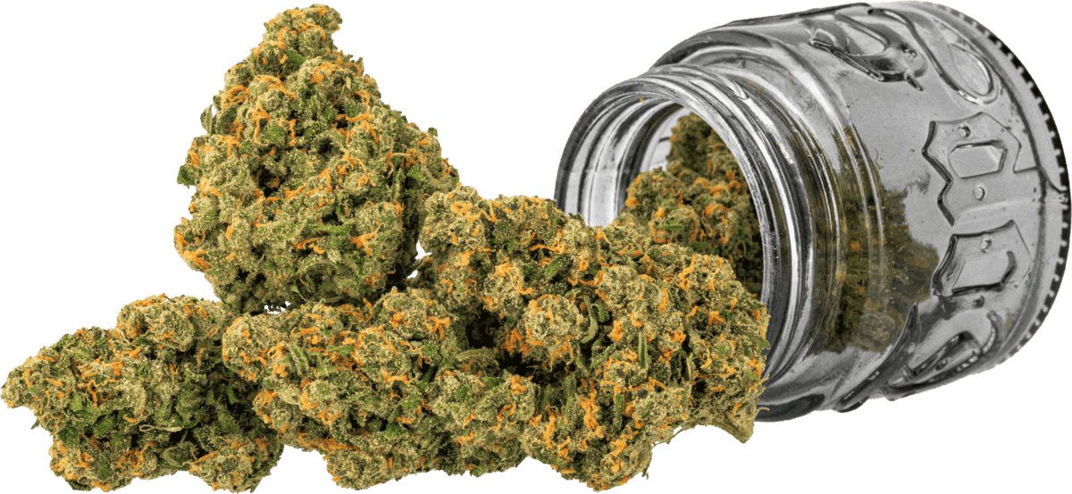 Jack Flowers by Top Shelf Cultivation, $50.00