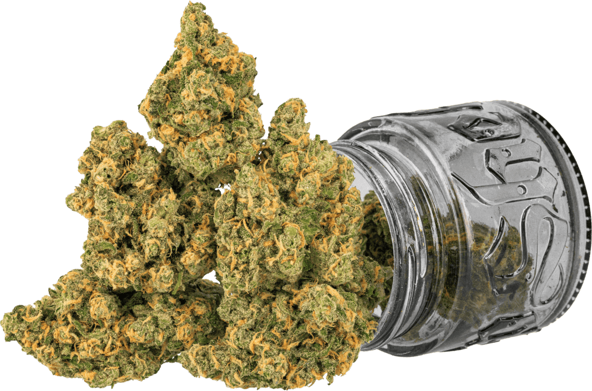 Blue Dream Flowers by Top Shelf Cultivation, $50.00