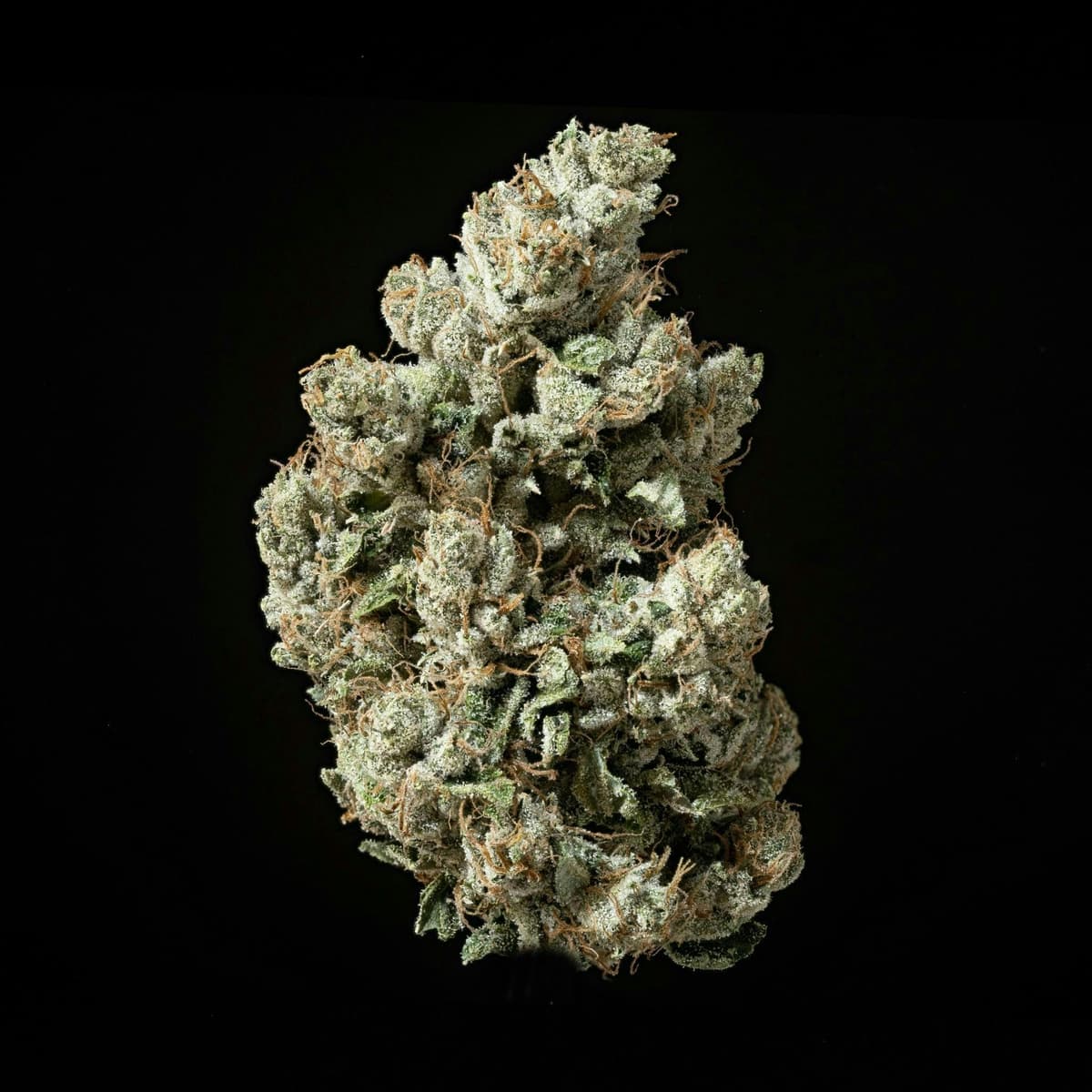 Sticky Status | 777 OG | Big Buds Flowers by Sticky Status, $64.00