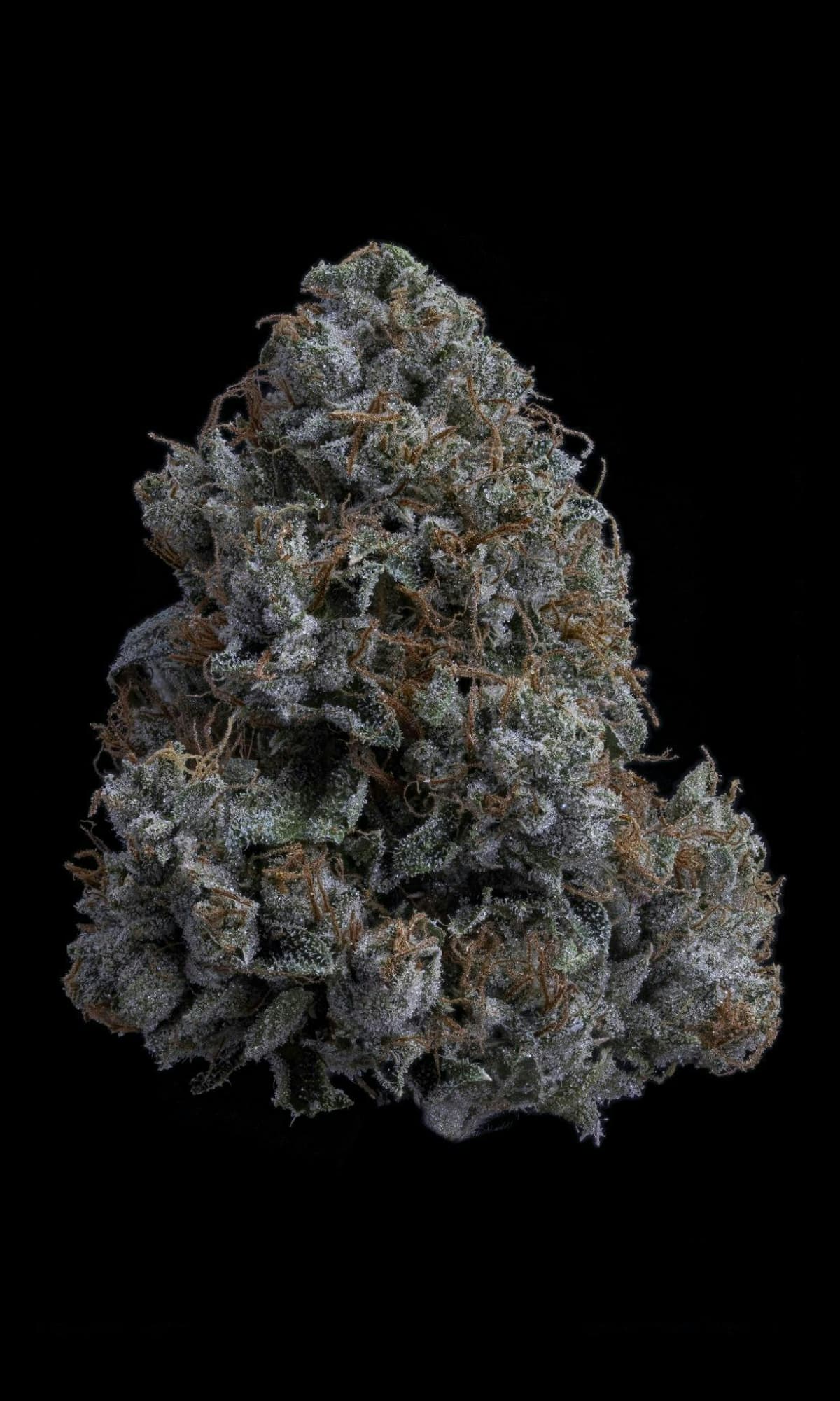 Sticky Status | K1 OG | Big Buds Flowers by Sticky Status, $64.00