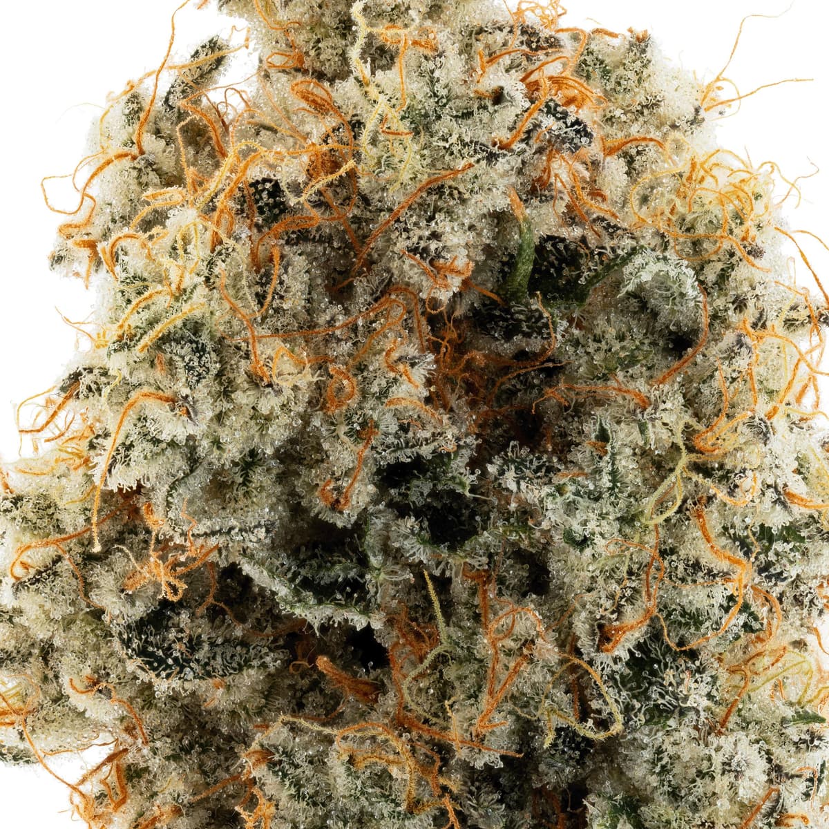 Lumpy's Banana Bread Preroll - 1 Gram Pre-Rolls cannabis