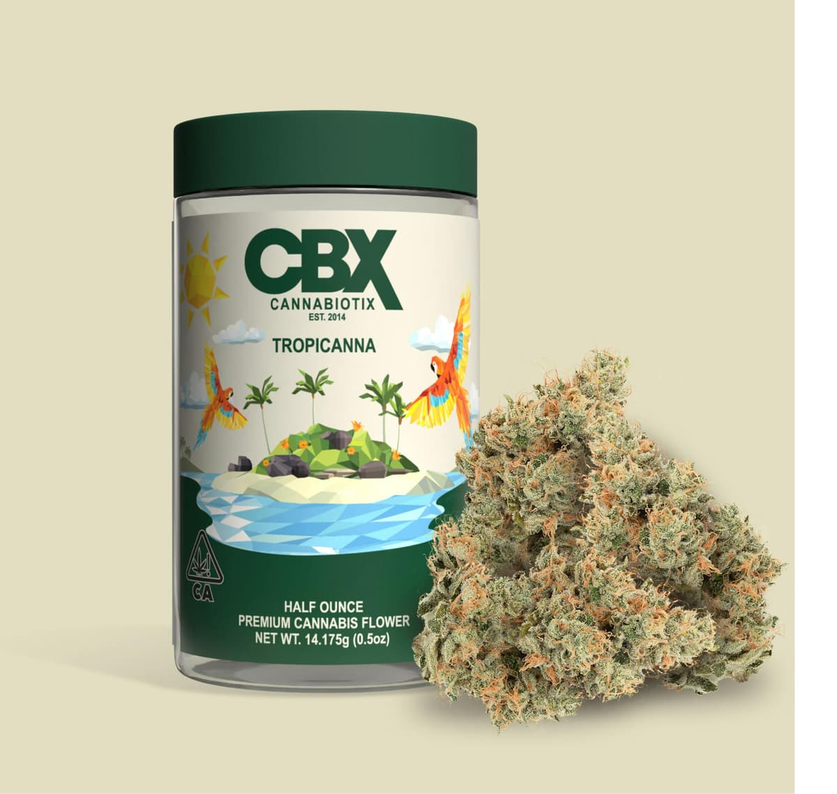 Tropicanna Flowers by CBX, $180.00