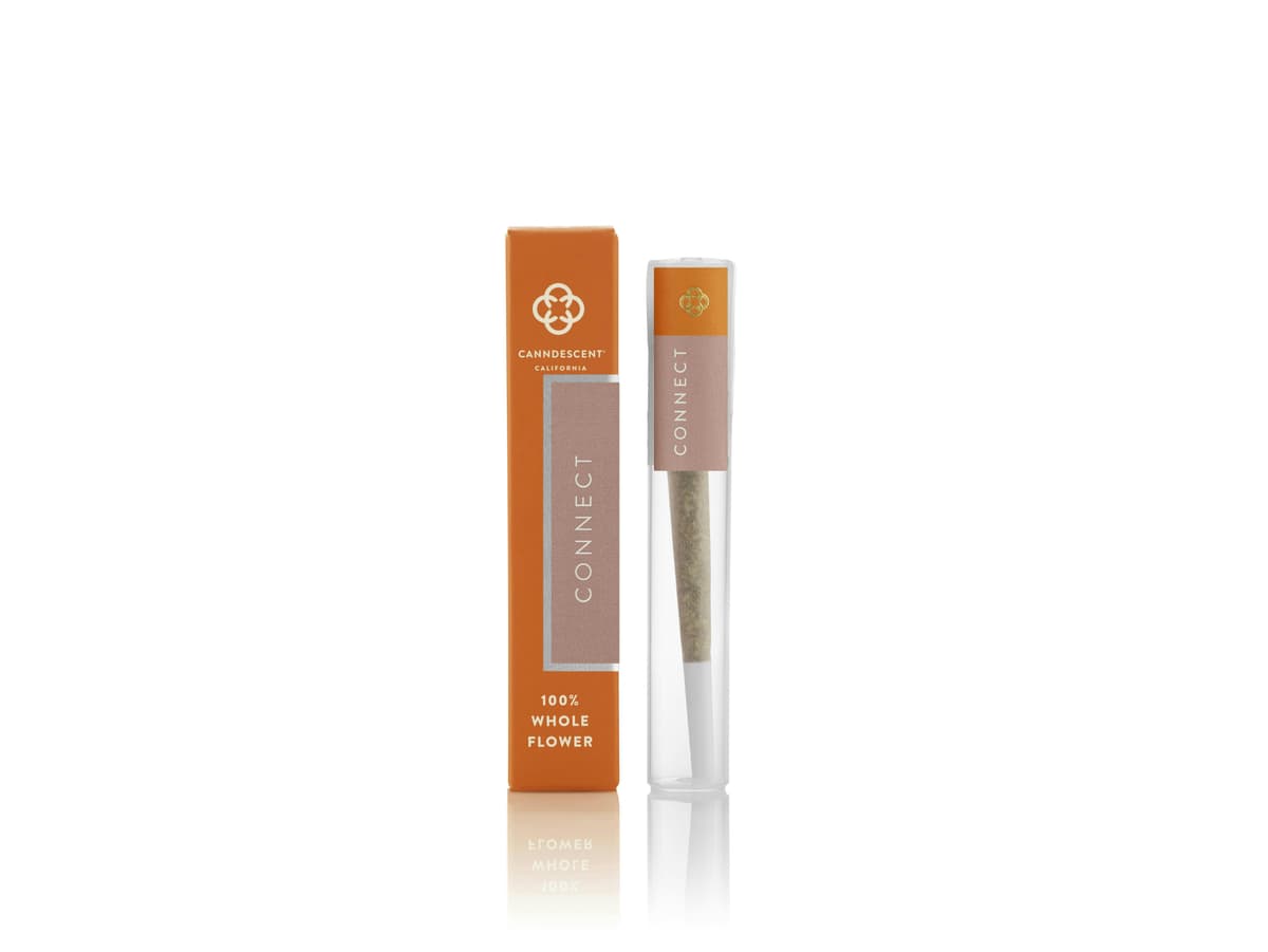 Canndescent Connect Preroll - 1 Gram Pre-Rolls cannabis