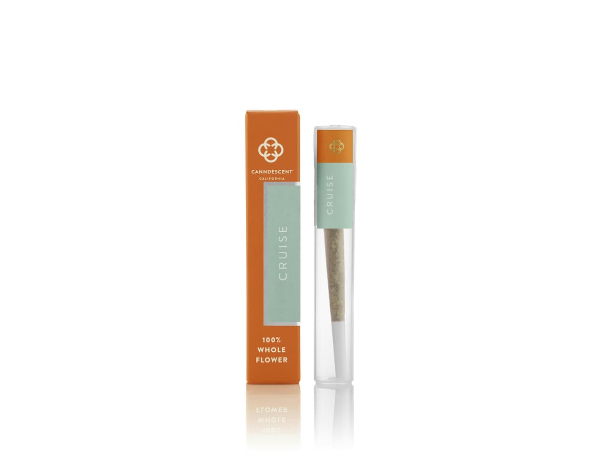 Canndescent Cruise Preroll - 1 Gram Pre-Rolls cannabis