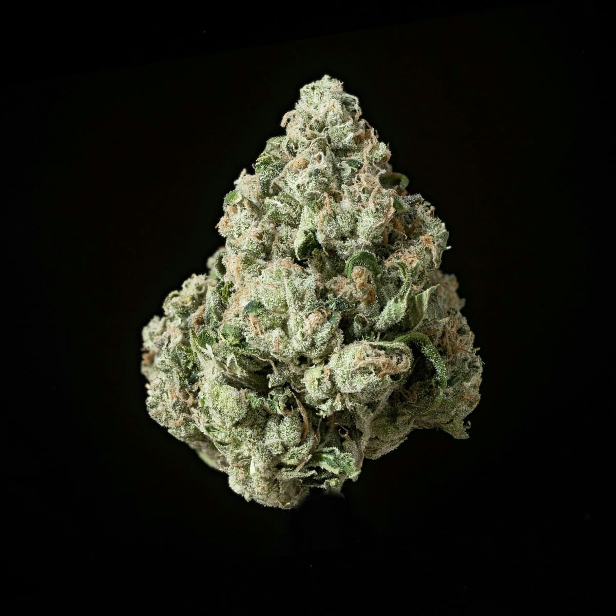 Sticky Status | Sour Diesel | Big Buds Flowers by Sticky Status, $64.00