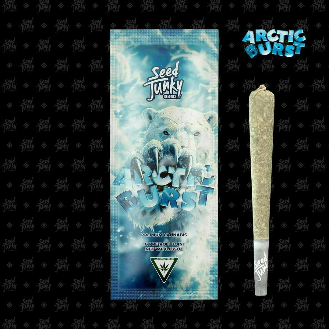 Seed Junky Arctic Burst Preroll - 1 Gram Pre-Rolls cannabis