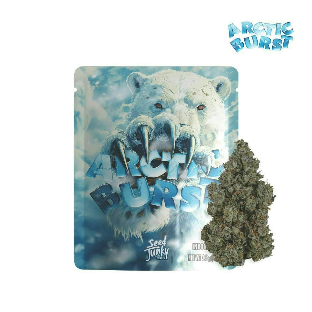 Seed Junky Arctic Burst - 3.5 Grams Flower cannabis