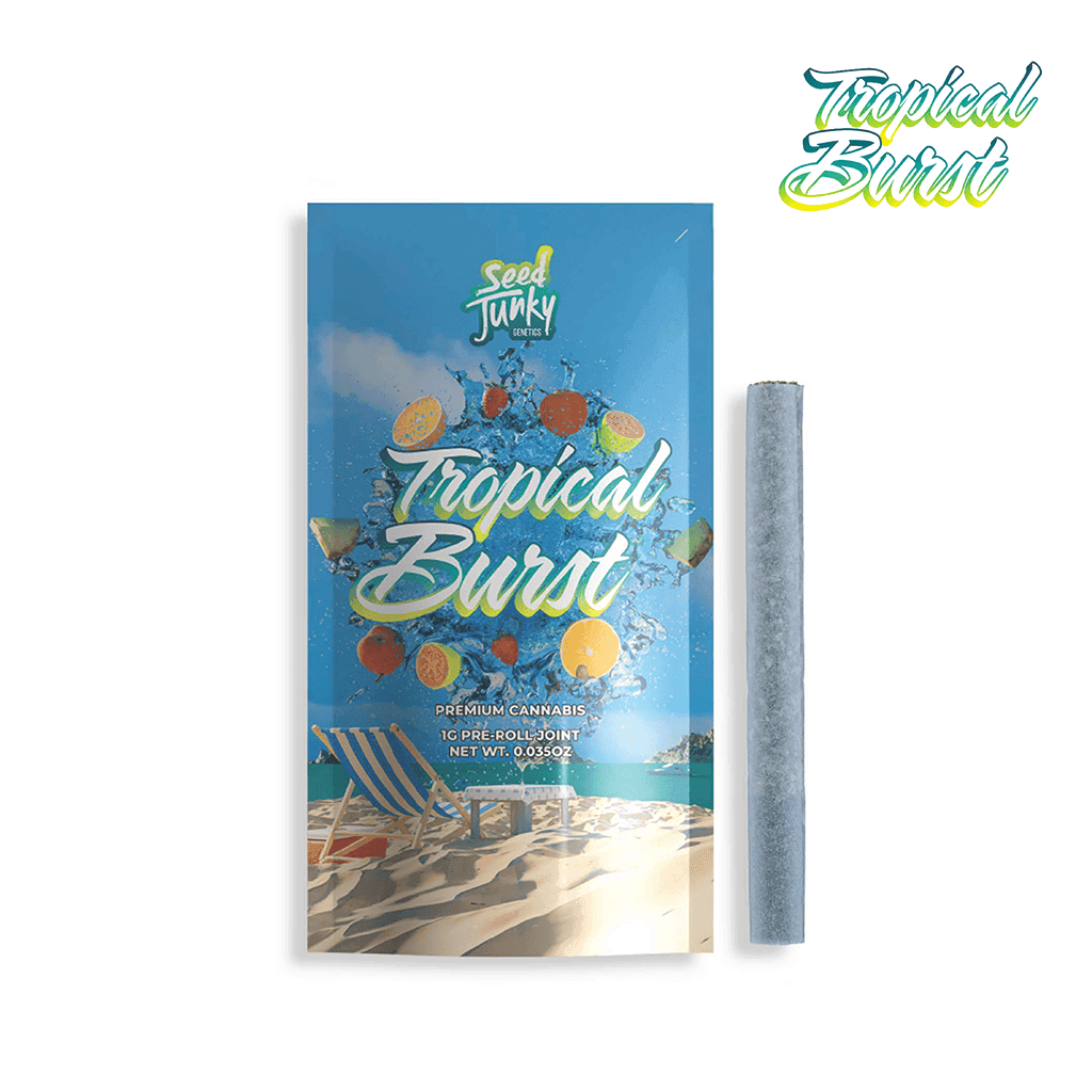 Seed Junky Tropical Burst Preroll - 1 Gram Pre-Rolls cannabis