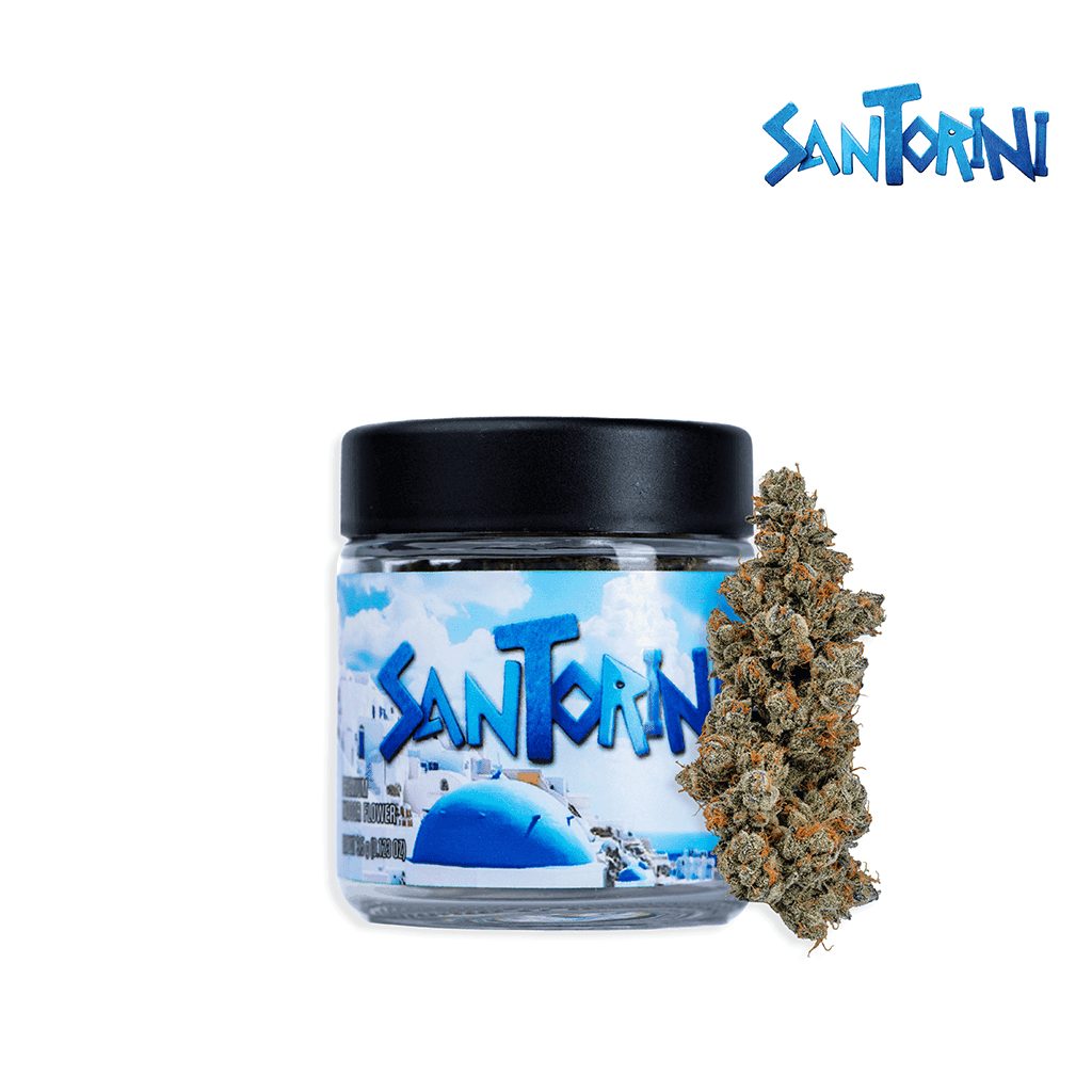 Santorini | Big Buds Flowers by Seed Junky, $34.00