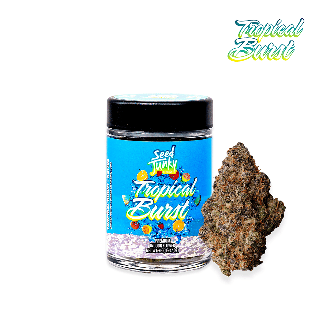 Seed Junky Tropical Burst Bigs - 7 Grams Flowers cannabis