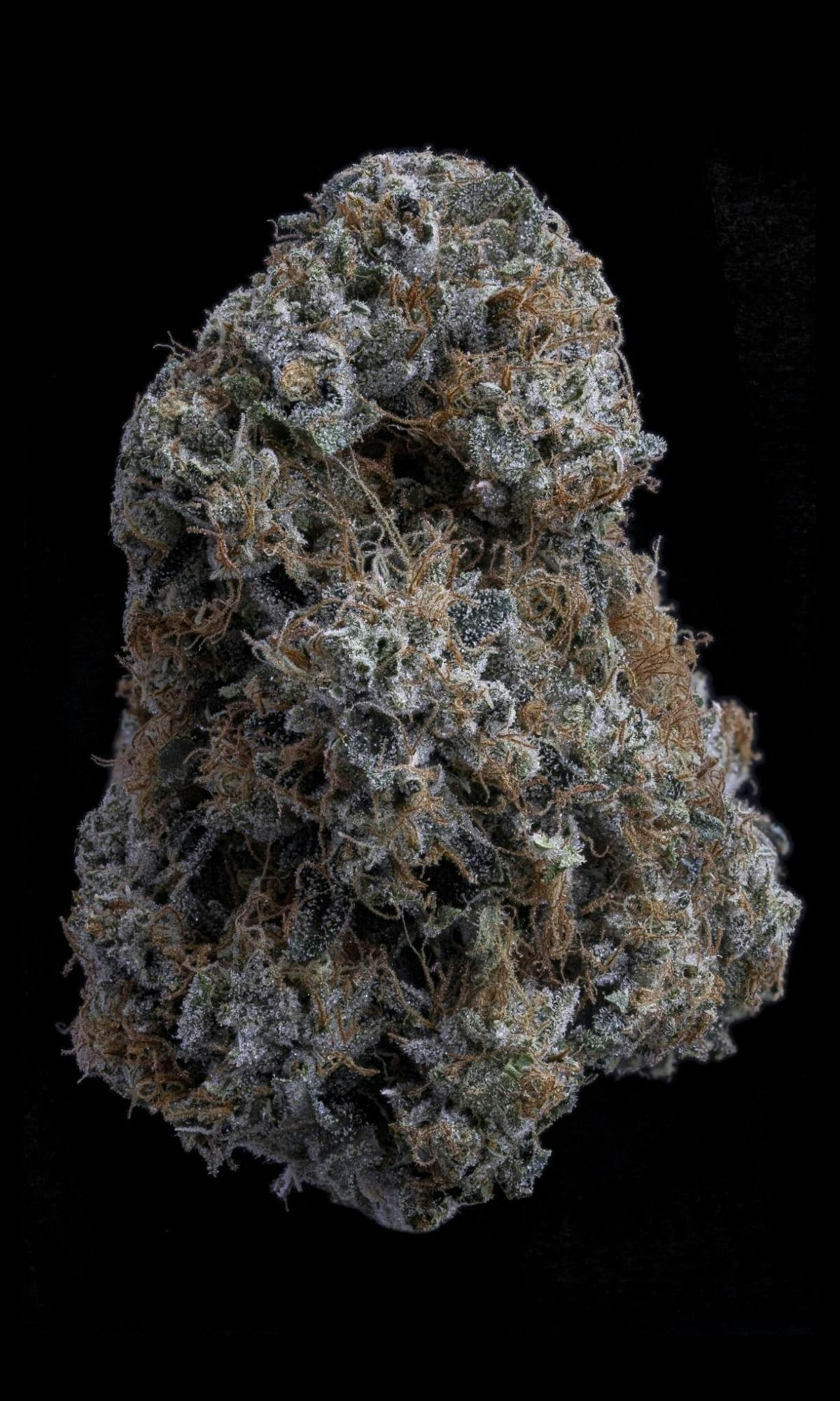Sticky Status | Princess Cut OG | Big Buds Flowers by Sticky Status, $64.00