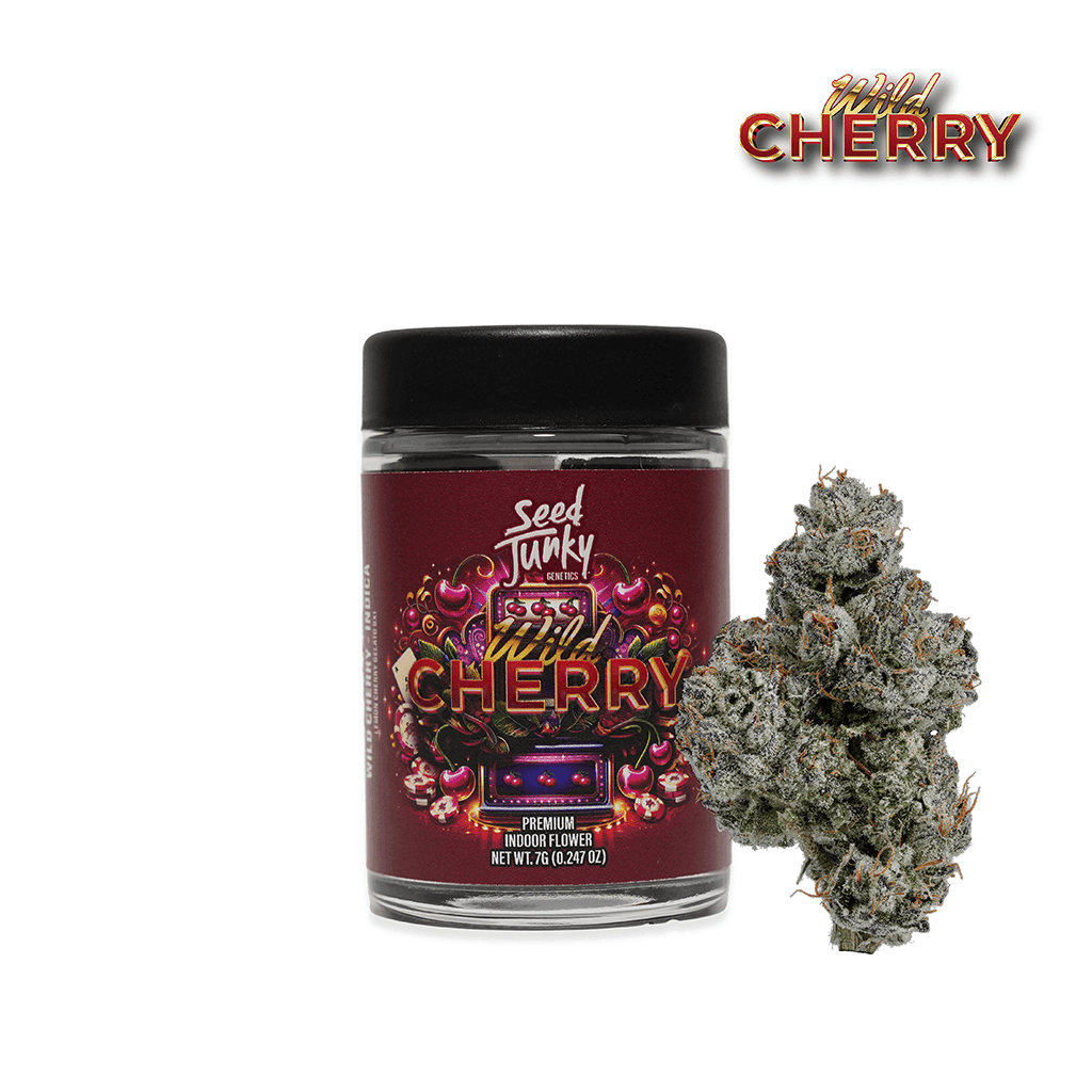 Seed Junky Wild Cherry - 7 Grams Flower cannabis