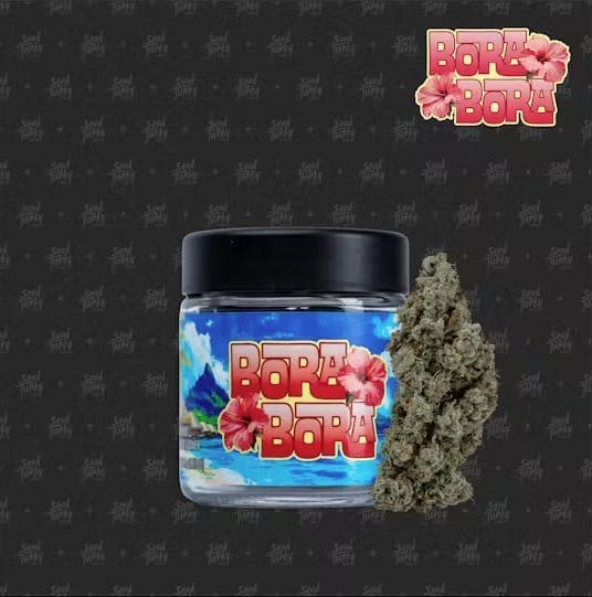 Seed Junky Bora Bora - 3.5 Grams Flower cannabis