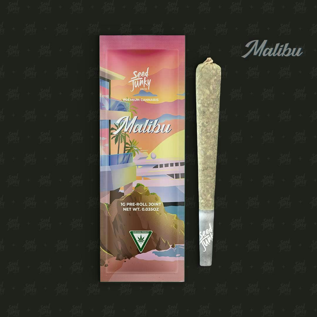 Seed Junky Malibu Preroll - 1 Gram Pre-Rolls cannabis