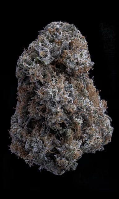Sticky Satus | Zallah Bread | Big Buds Flowers by Sticky Status, $64.00
