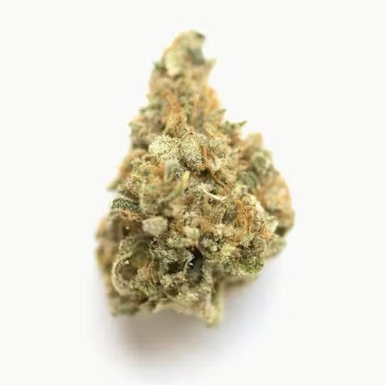 Sticky Satus | Mandarin Delight | Big Buds Flowers by Sticky Status, $64.00