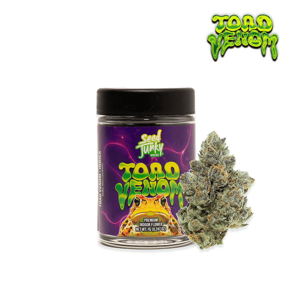 Seed Junky Toad Venom Bigs - 7 Grams Flowers cannabis