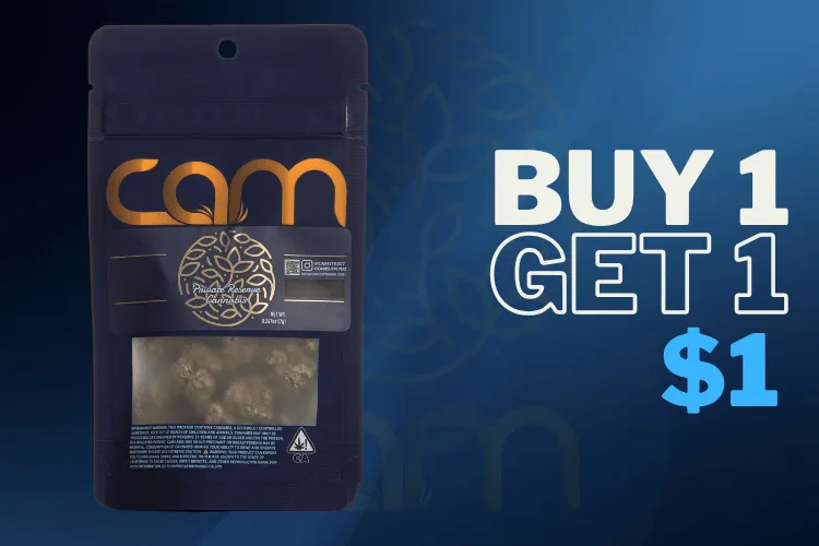 CAM 7G BOGO PAD DAILY, BOGO $1.00