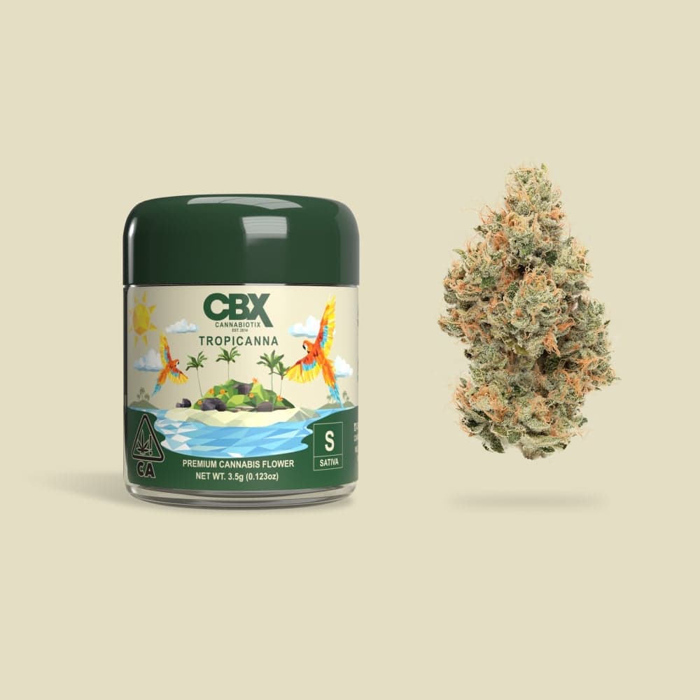 Tropicanna Flowers by CBX, $180.00