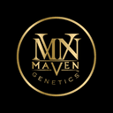 Maven logo