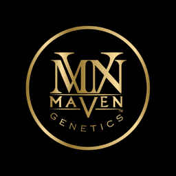 Maven logo
