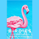 Birdies logo