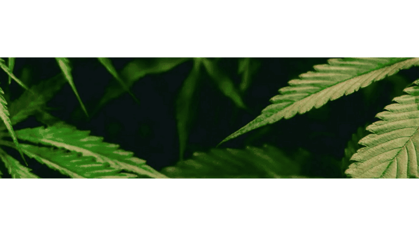 4 Front banner