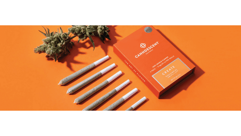 Canndescent banner