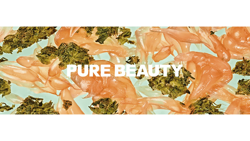 Pure Beauty banner