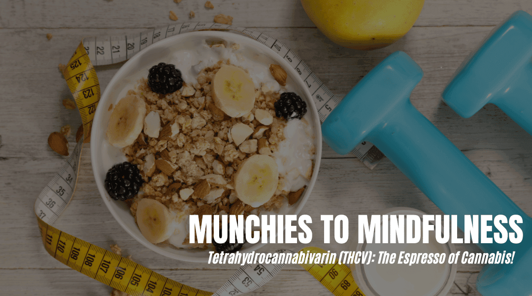 From Munchies To Mindful Eating 