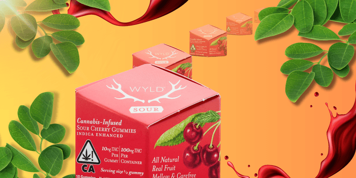 Maximize Fun with 100mg Wyld Fruit Chews: Your Ultimate Guide