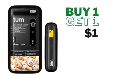 TURN DISPOSABLE BOGO $1 by Turn, BOGO $1.00