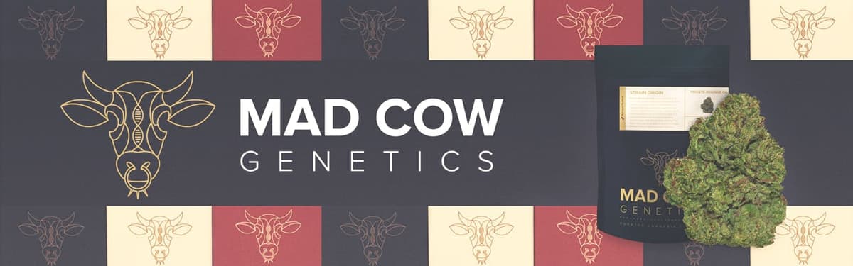Mad Cow Genetics banner