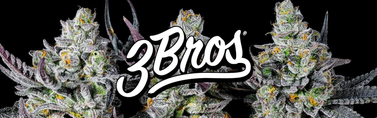3 Bros banner