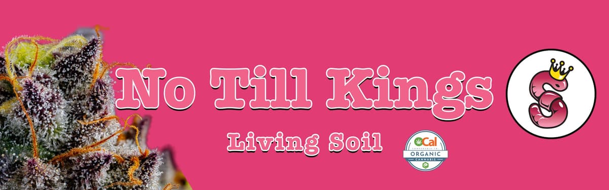 No Till King banner