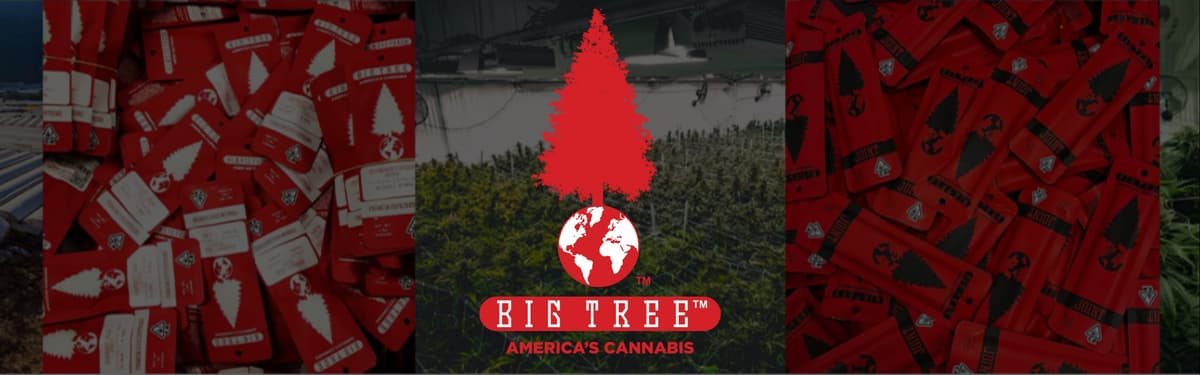 Big Tree banner