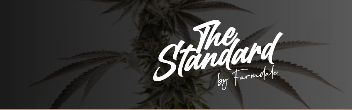 The Standard banner