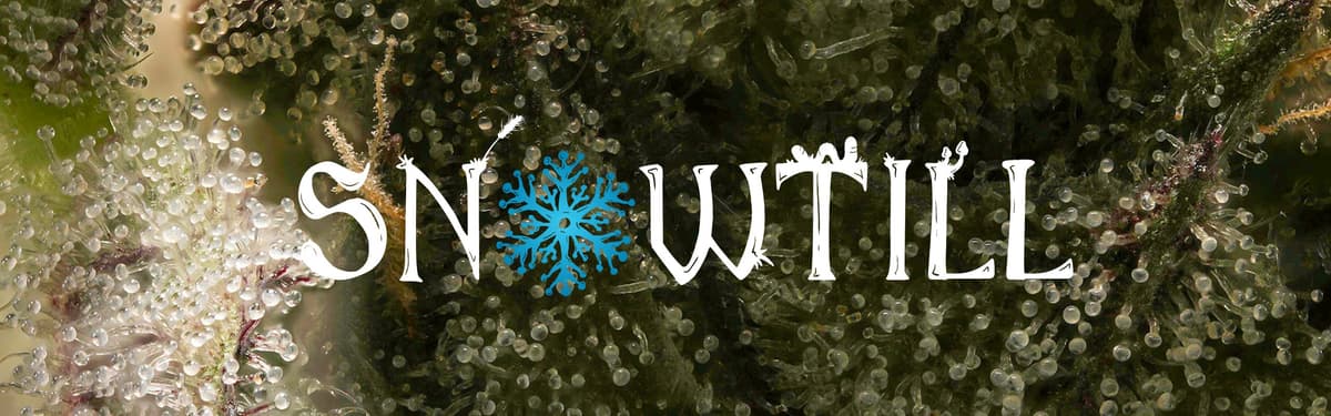 Snowtill banner