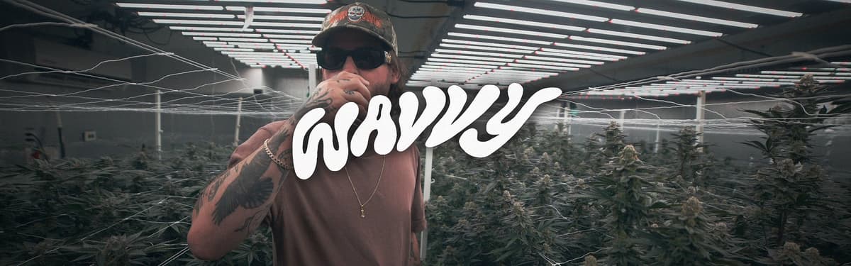 Wavvy banner