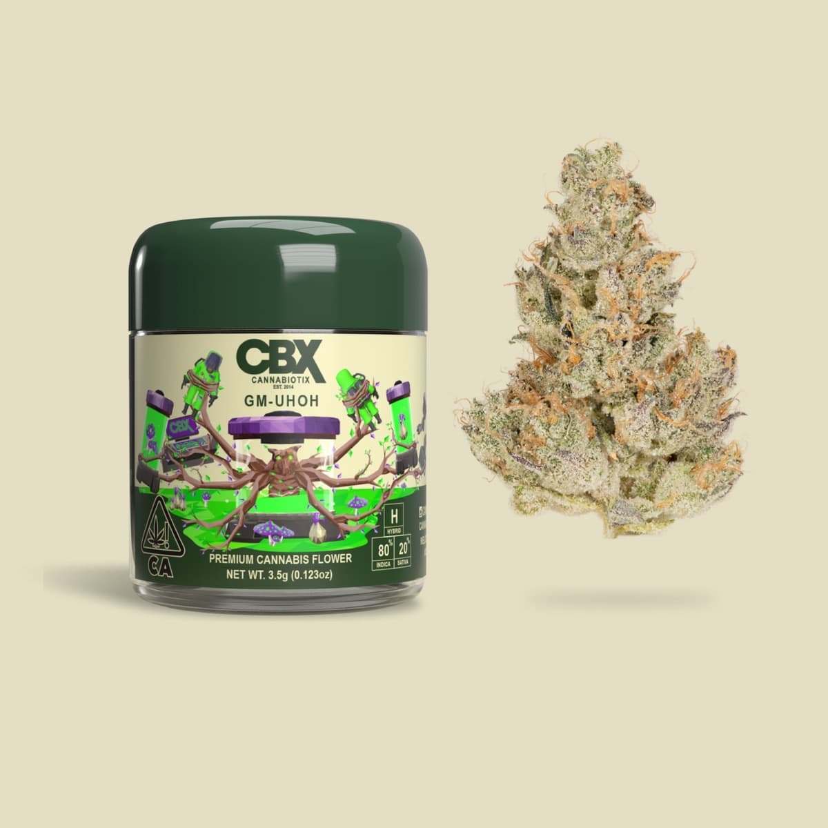 CBX Grand Master - 3.5 Grams Flowers cannabis