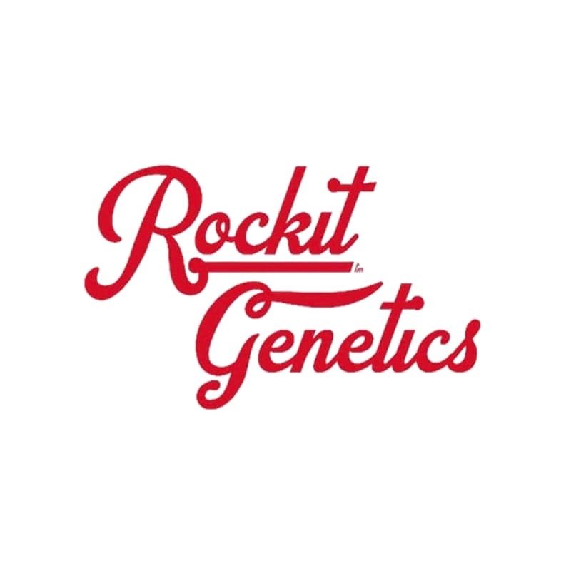 Rockit Genetics Gushmints Blunt - 2 Grams Pre-Rolls cannabis