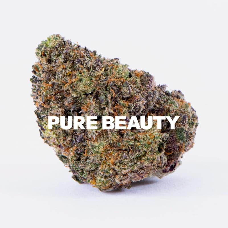 CBD: Terry T x Gelato 33 Flowers by Pure Beauty, $48.00