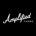 Amplified logo